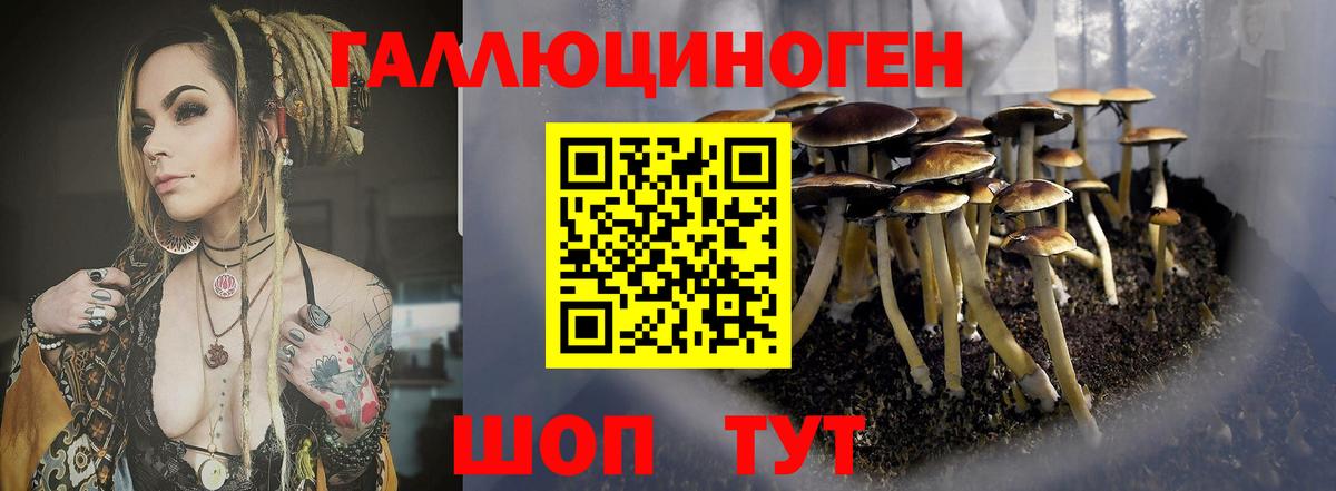Назрань  Псилоцибиновые грибы GOLDEN TEACHER  Вход с VPN 